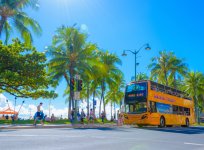 pic_hawaii_01.jpg