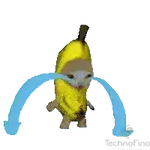 1000036065.webp