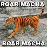 1749988240385.webp