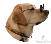 1000037866.webp