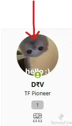 1751475878392.webp