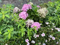 IMG-20250708-WA0048.webp