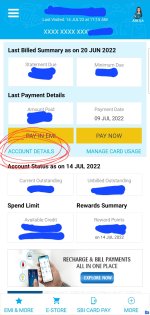 SBI Card 1.jpg