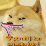 1696391511482.png