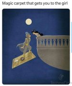 Magic-carpet-to-get-a-girl-1696488695314.jpg