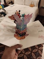 IMG_20231111_190248968.jpg