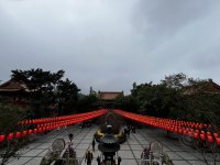 IMG_3765.jpeg