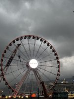 IMG_3787.jpeg