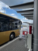 IMG_3808.jpeg