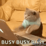 busy.gif