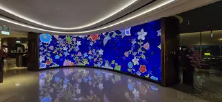 Beautiful Display at Krisflyer Silver Lounge for Business Class Customers
