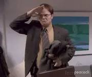 giphy.webp