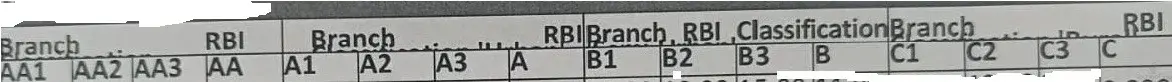 branch category.webp