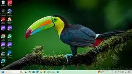 1746989981569.webp