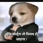 1747818974333.webp
