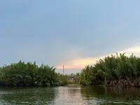 Sunset at Coconut forest Sunset at Coconut forest