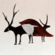 arpitpareek