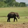 Harsharkr