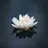 aangtheairbender