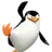 PenguinSkipper