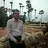ajaydcruz