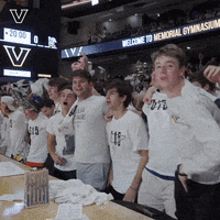 Happy Lets Go GIF by Vanderbilt Athletics