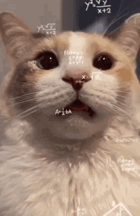 a close up of a cat 's face with math equations on it 's face .