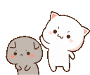 cat-animation.gif