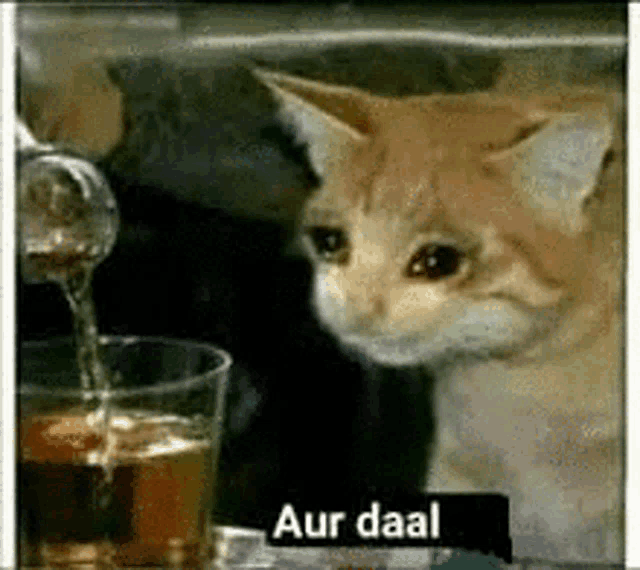 aur-daal.png